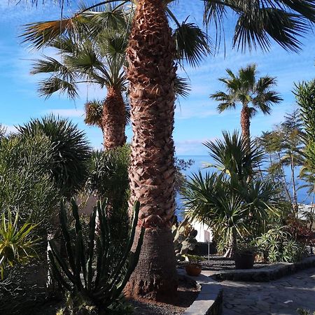 Bungalow Moijama El Drago Los Llanos De Aridane Eksteriør bilde